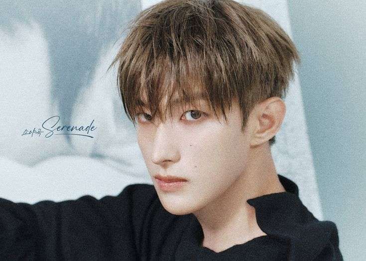 Dokyeom SEVENTEEN Ungkap Persiapan Unit DxS